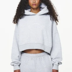 Chancery Oversized Cropped Hoodie Grey Melange