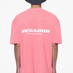 Colne Logo Oversized Tee Vintage Strawberry